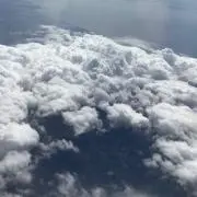 ハクノ　次回発送7／21以降の画像