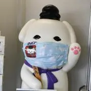hcr32の画像