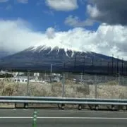 ごーのんの画像