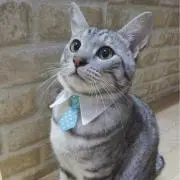 むっぽ