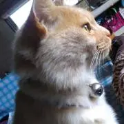 りょう