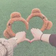 Rsの画像