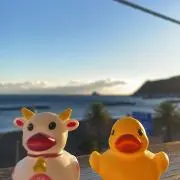 そらの画像