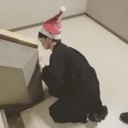 かめの画像