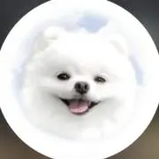 ♡の画像