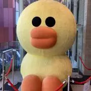 ayaの画像