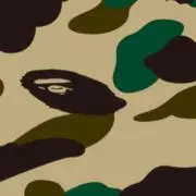 ao _zaru