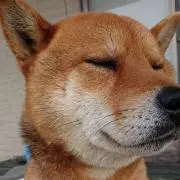 むっちょすの画像
