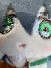 しゃものすけの画像