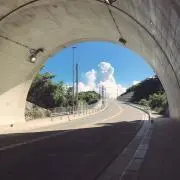 たこすの画像