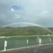 an＊6/16以降の発送となります。の画像