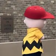Sayaの画像