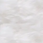 o8m7の画像