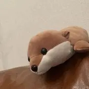 のん