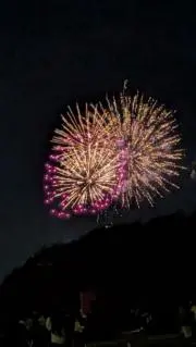 けんちんの画像