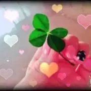 rm‪‪❤︎‬の画像