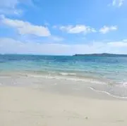 名無しの画像