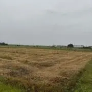 爛漫
