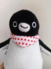 しましまの画像