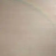 あり