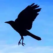 リョウ