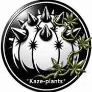 風-Plantsの画像