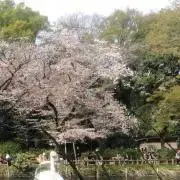 楽店　在庫処分の画像
