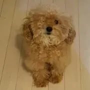 ともママ