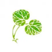 aoimama❦