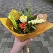 たもの画像