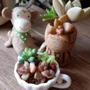ルーチェのおうちの画像