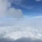 ひまわりの画像