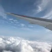 ティナの画像