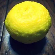 くうた