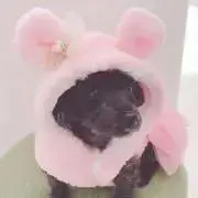 h.DRESSERの画像