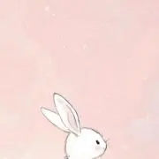 ななちゃんの画像