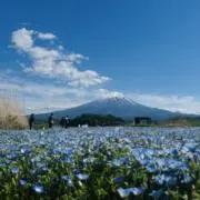 Nicoleの画像