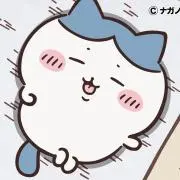 【発送日は事前にお尋ね下さい❣️】の画像