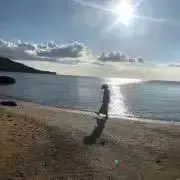 たまの画像