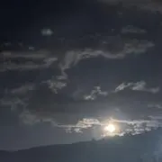 ちーやんの画像