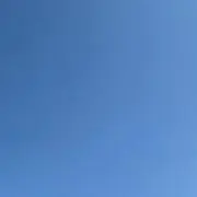 ごましの画像