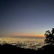 しん
