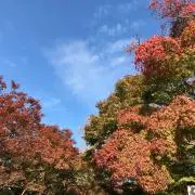 うさまるの画像