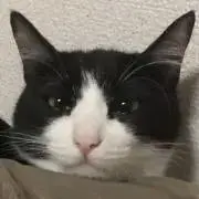 おしるこ