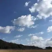 ゆうひの画像