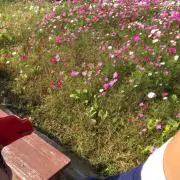 ずんずんの画像