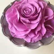 のり茶の画像