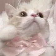 ℳ.‎‪ ‪‪✧‧˚の画像