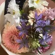 ポコチャの画像