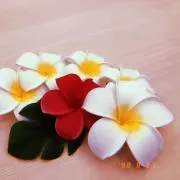 kana⚫︎の画像